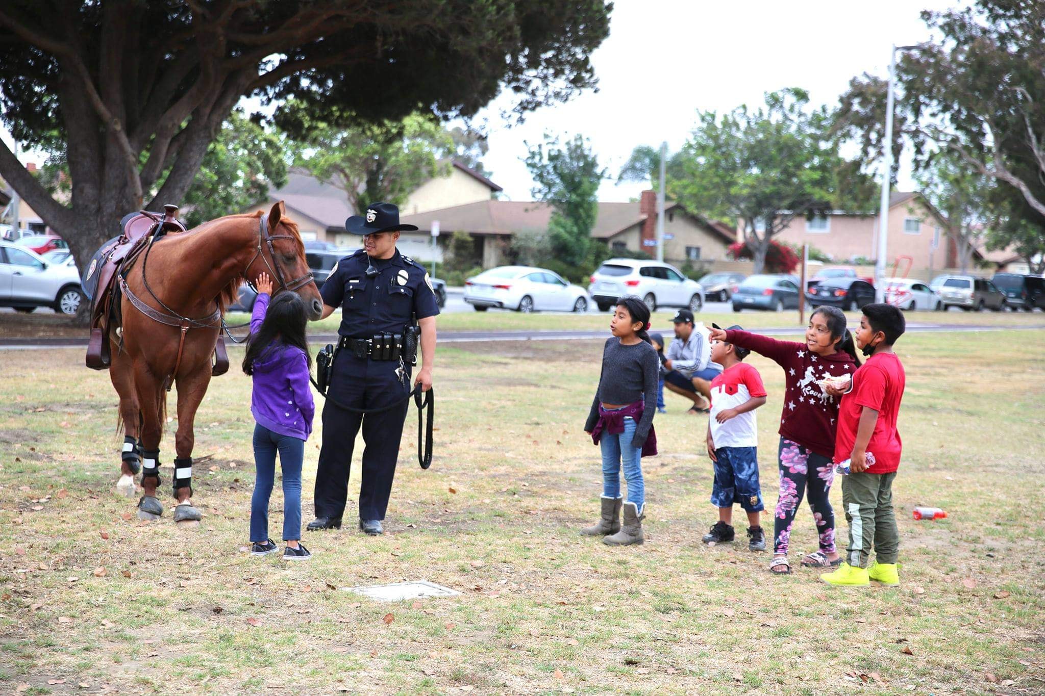 Police officer with horse outdoors