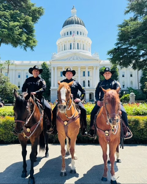 Oxnard Mounted Unit photo 1